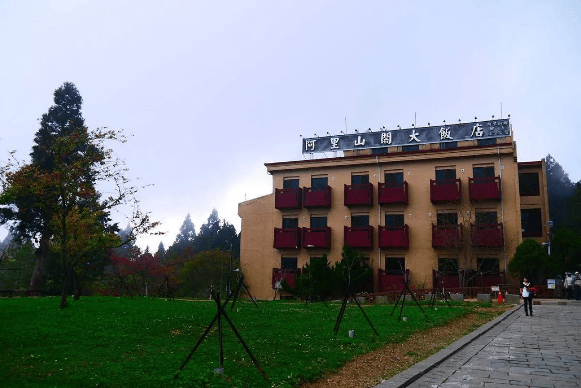 順著山路抵達阿里山，把夜晚留在森林裡，5間飯店讓旅程多了一段停留理由