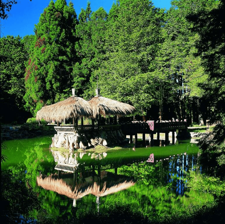 站在阿里山賓館觀景平台的高處，讓日落與山嵐陪你走進阿里山的節奏