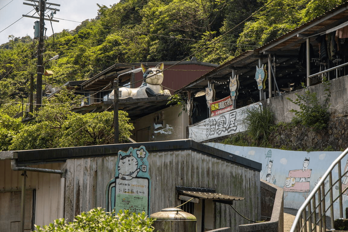 搭火車抵達新北瑞芳猴硐貓村，順著階梯散步，看見貓與山城靜靜生活的樣子