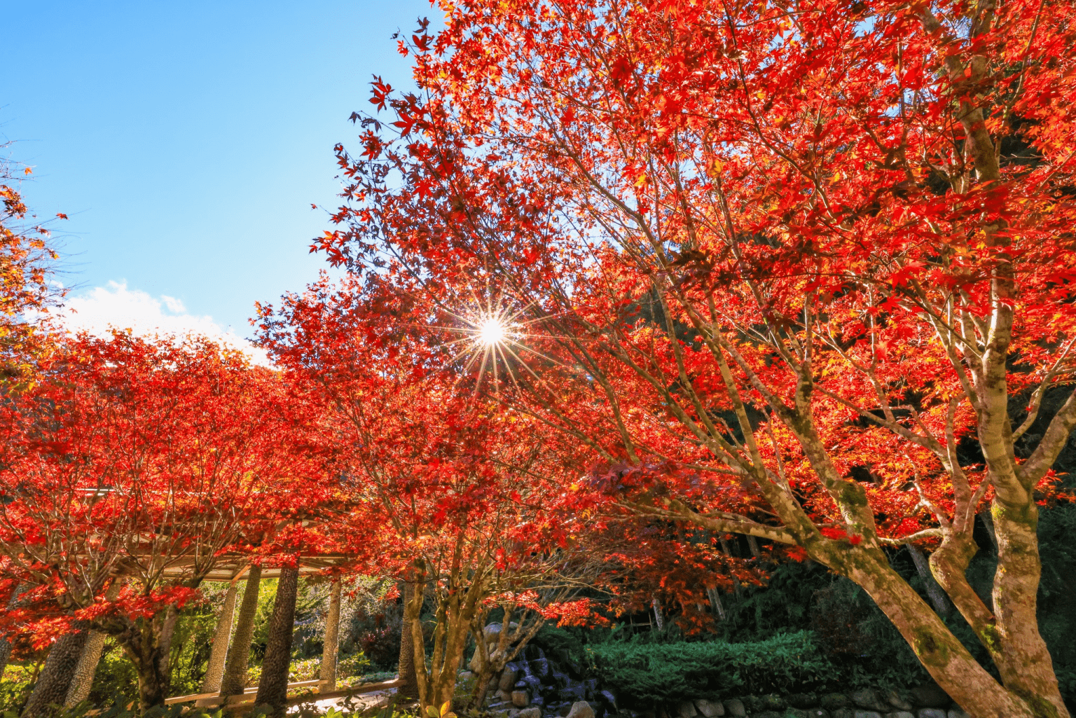 走進杉林溪不是重點，住下來才是旅程真正開始的地方