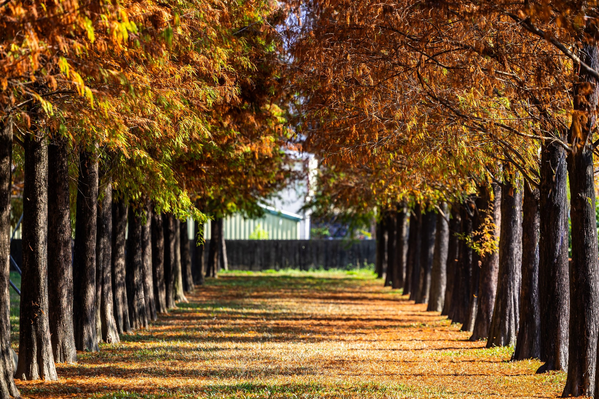把時間慢慢放進溫泉裡，住在礁溪冠翔泉旅，過一晚不被打擾的療癒假期