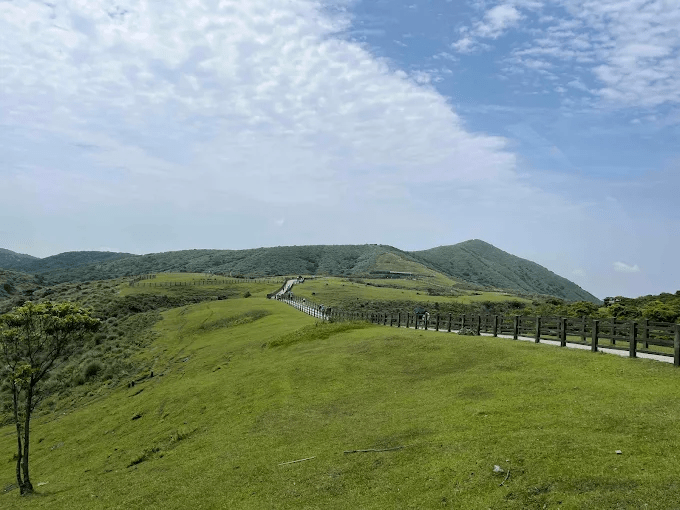 搭車上山走到冷水坑，在陽明山雲霧與草原之間，找回適合慢慢走的步道節奏