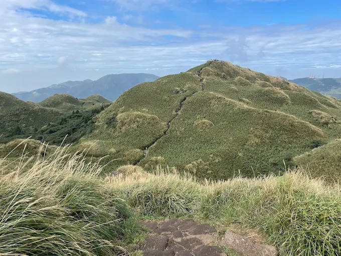 搭車上山走到冷水坑，在陽明山雲霧與草原之間，找回適合慢慢走的步道節奏