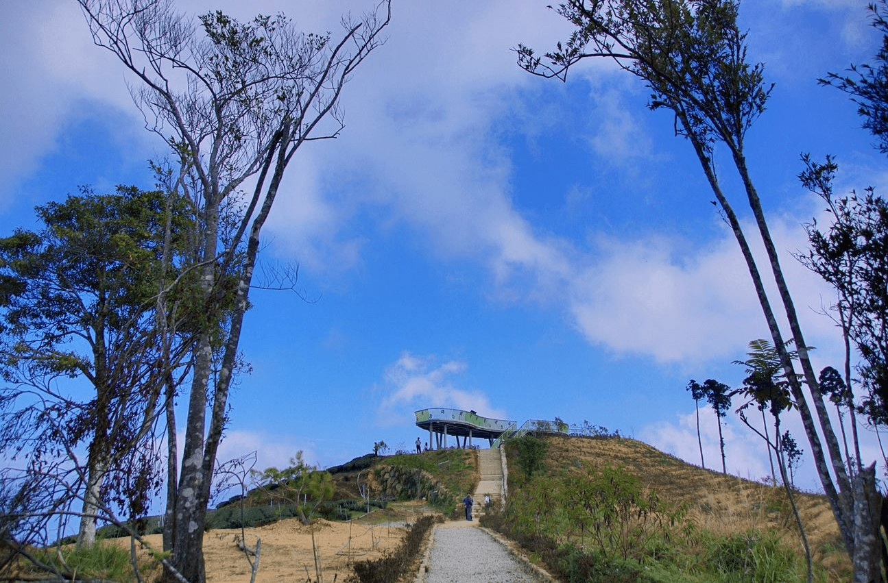 在雲林古坑雲嶺之丘停下腳步，讓草嶺山風吹過視線與遠方層層山景