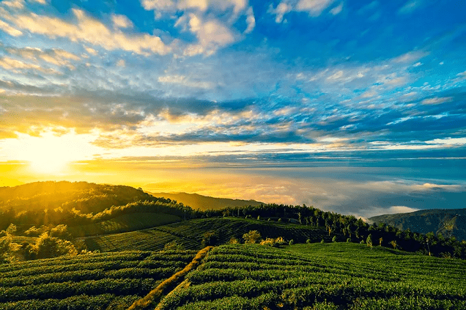 在雲林古坑雲嶺之丘停下腳步，讓草嶺山風吹過視線與遠方層層山景