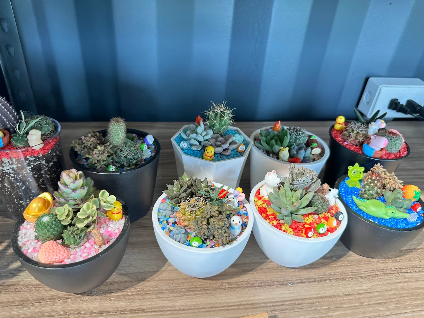 平緩舒適的森林步道，適合長輩散步與親子推車同遊