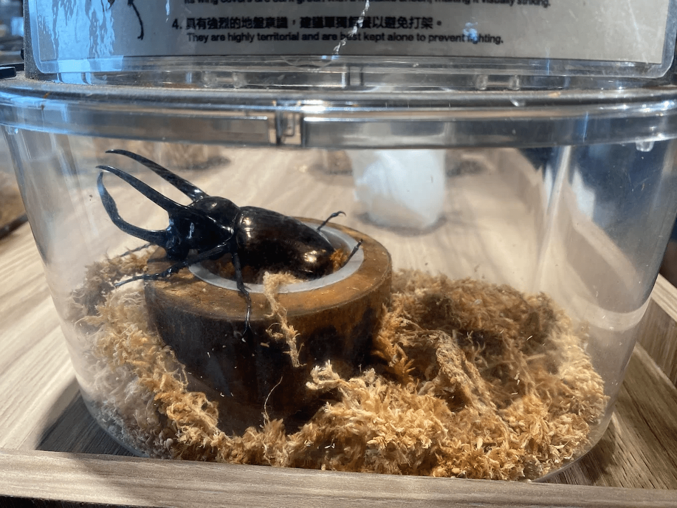 豐富的自然生態資源，是最佳的戶外學習教室