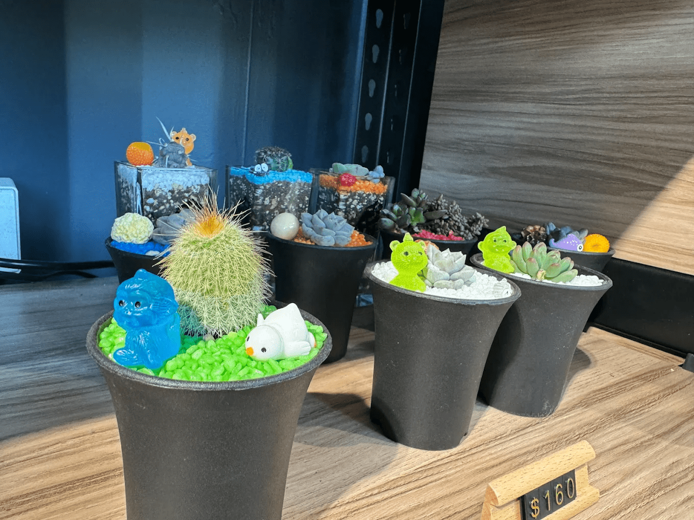 園區內處處是美景，隨手一拍都能呈現森林系氛圍