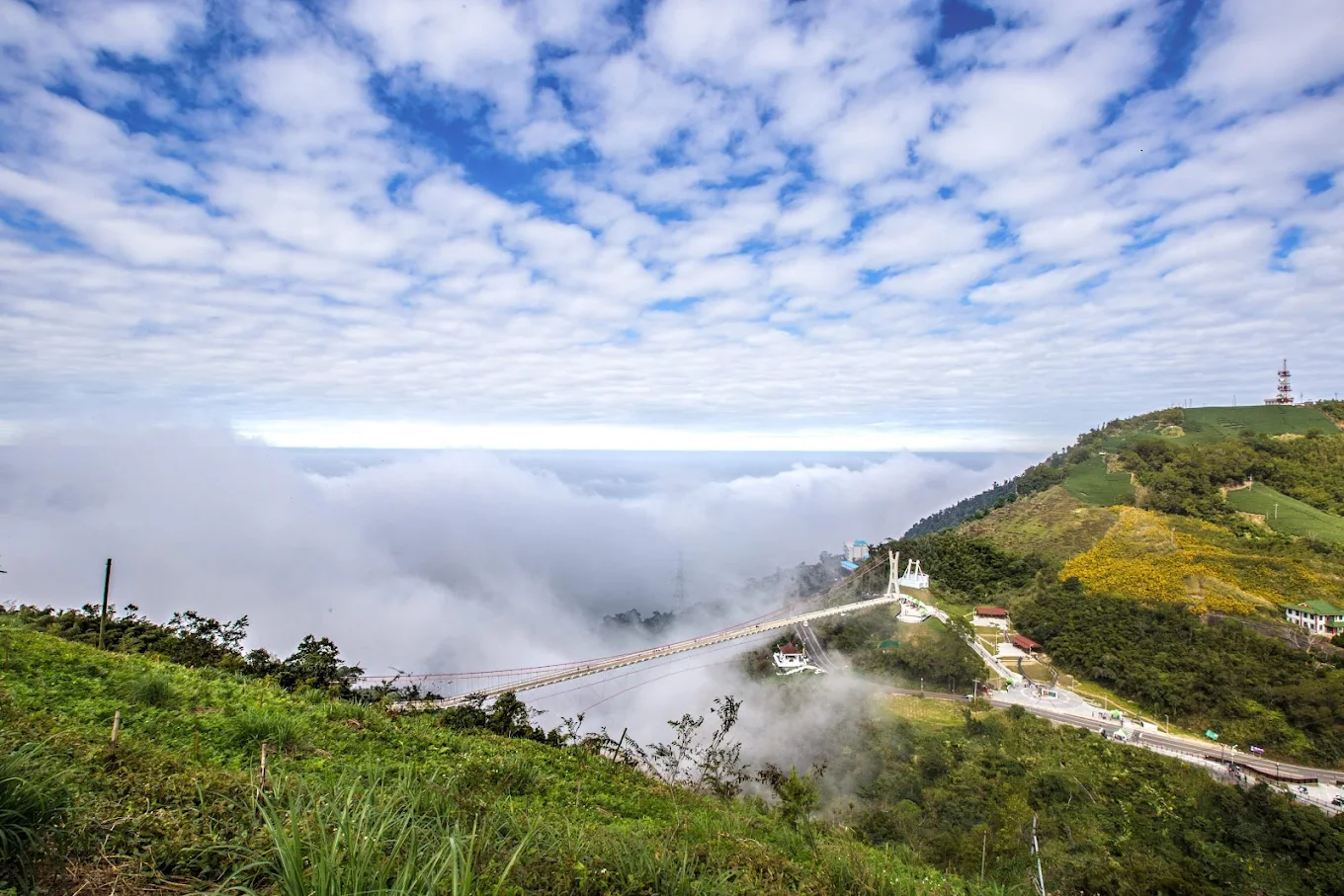 嘉義梅山太平雲梯｜走在雲海上的天空步道，一生必訪的阿里山系秘境