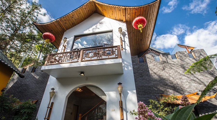 在溪頭住進山林慢下來的時刻，從午後霧氣到夜色靜靜選一間適合停留的地方