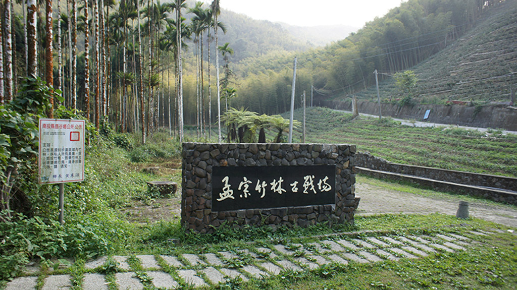 在竹海與湖潭之間慢慢走，走一趟鹿谷的靜謐自然，讓山林替你調整節奏