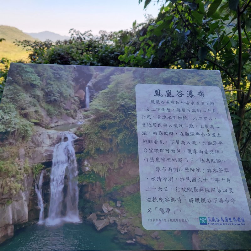 在竹海與湖潭之間慢慢走，走一趟鹿谷的靜謐自然，讓山林替你調整節奏