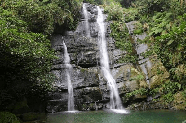 在竹海與湖潭之間慢慢走，走一趟鹿谷的靜謐自然，讓山林替你調整節奏