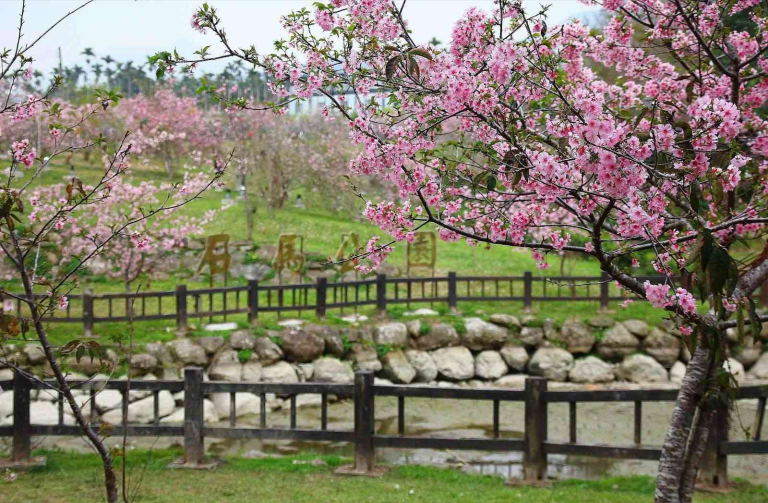 在竹海與湖潭之間慢慢走，走一趟鹿谷的靜謐自然，讓山林替你調整節奏