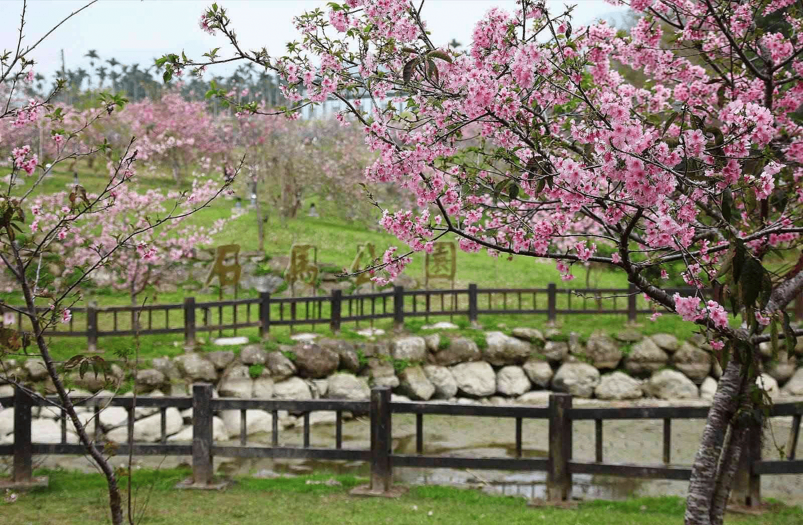在竹海與湖潭之間慢慢走，走一趟鹿谷的靜謐自然，讓山林替你調整節奏
