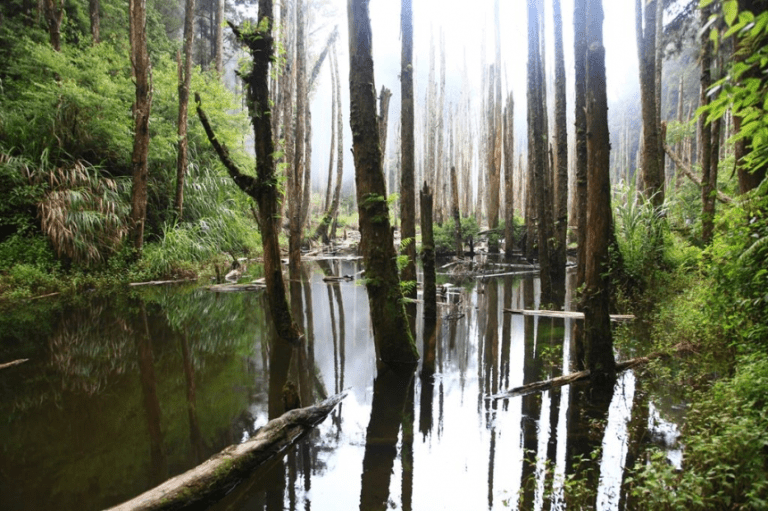 不趕路的地方，才看得見風景，在南投竹山，把時間慢慢還給山林與生活