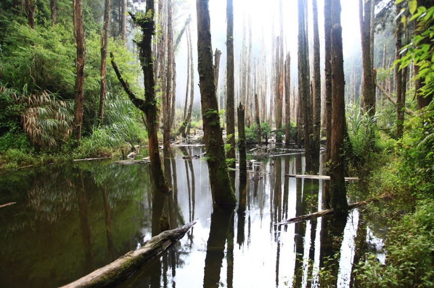 不趕路的地方，才看得見風景，在南投竹山，把時間慢慢還給山林與生活
