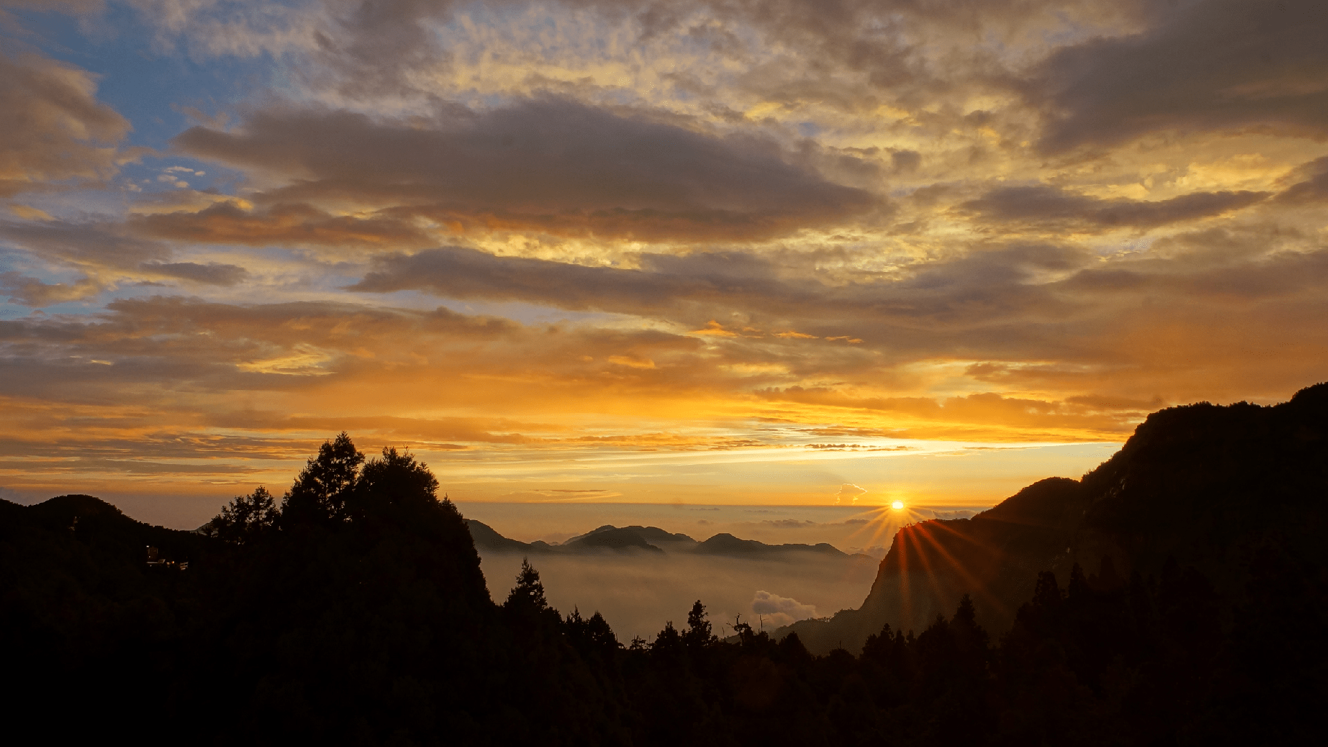日出升起之前，住進阿里山賓館，用雲海與光影，替一天寫下溫柔的開場