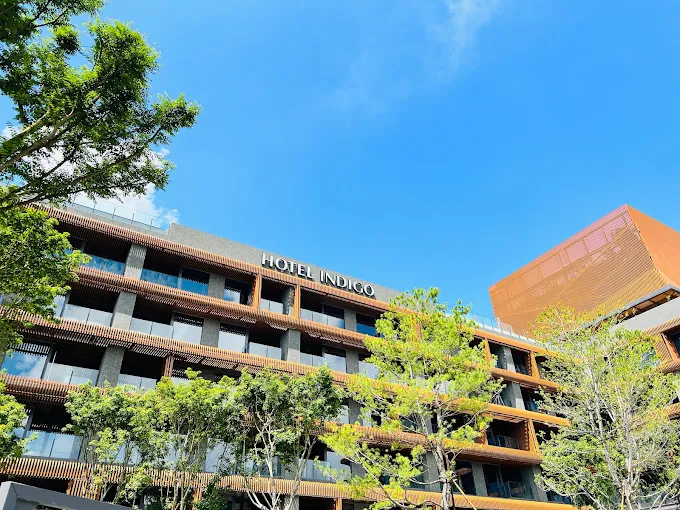 走進雲霧交會的清晨時分，阿里山住宿選擇成了這趟山行最重要的停留理由