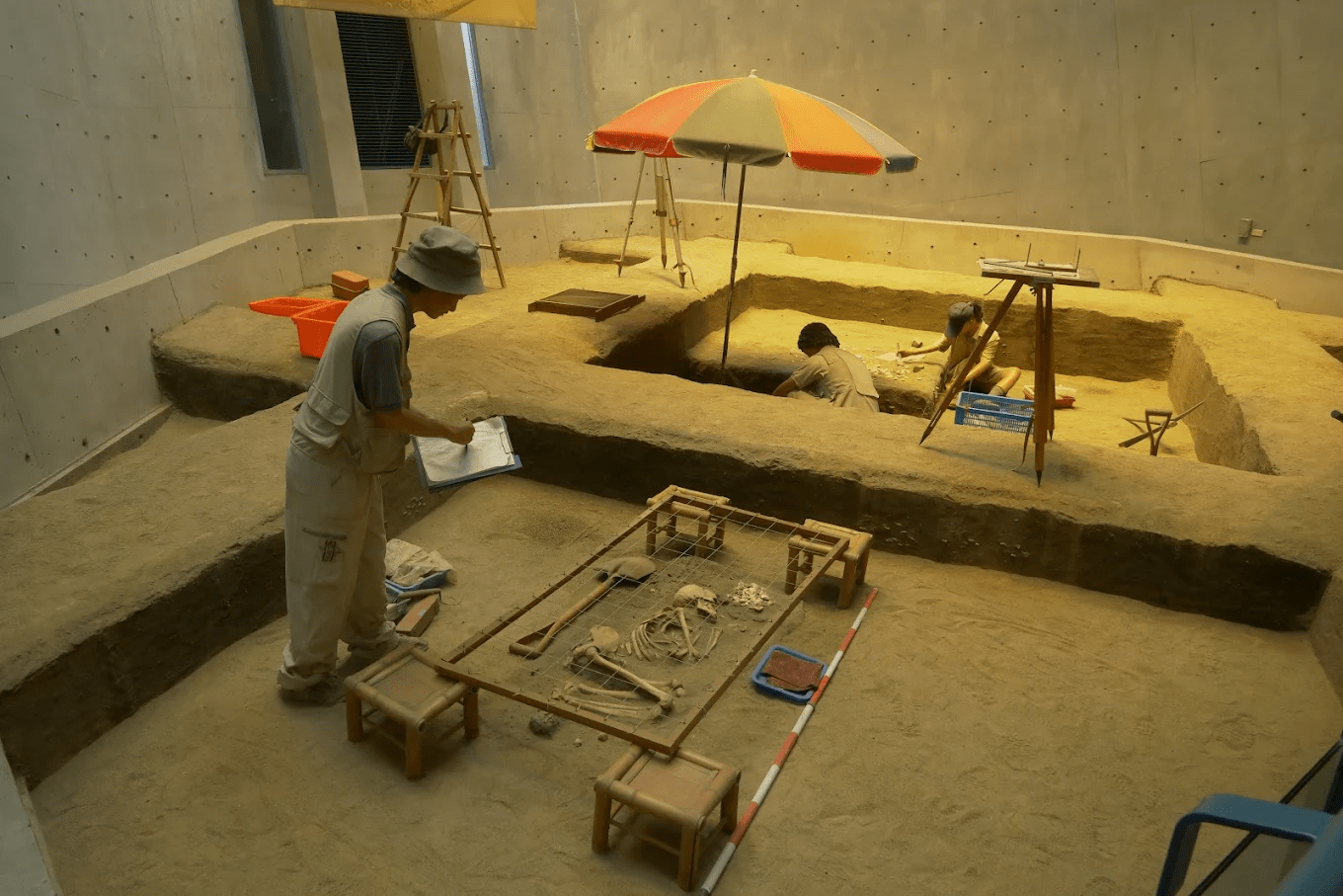 新北市立十三行博物館