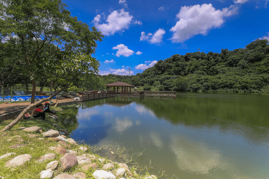 踏上桃園一日輕旅的路，把森林氣息、海邊風聲與老茶香串成一段舒服的節奏