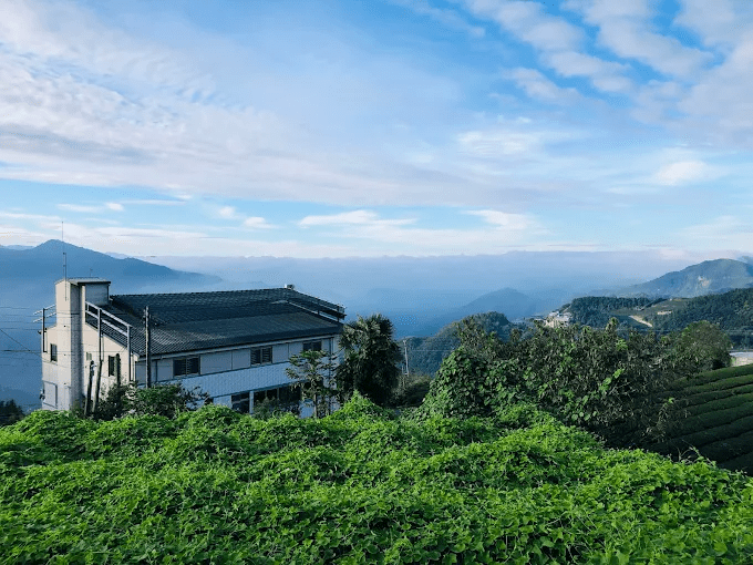在阿里山與周邊聚落之間住下來，用一晚民宿時間，換回久違的慢節奏