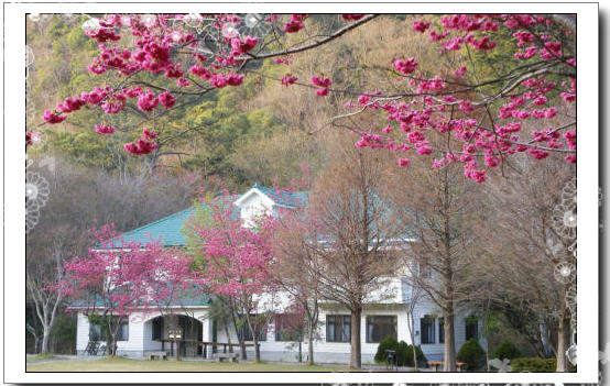 規劃奧萬大行程時，順著山林節奏找到最不打擾風景的住宿安排