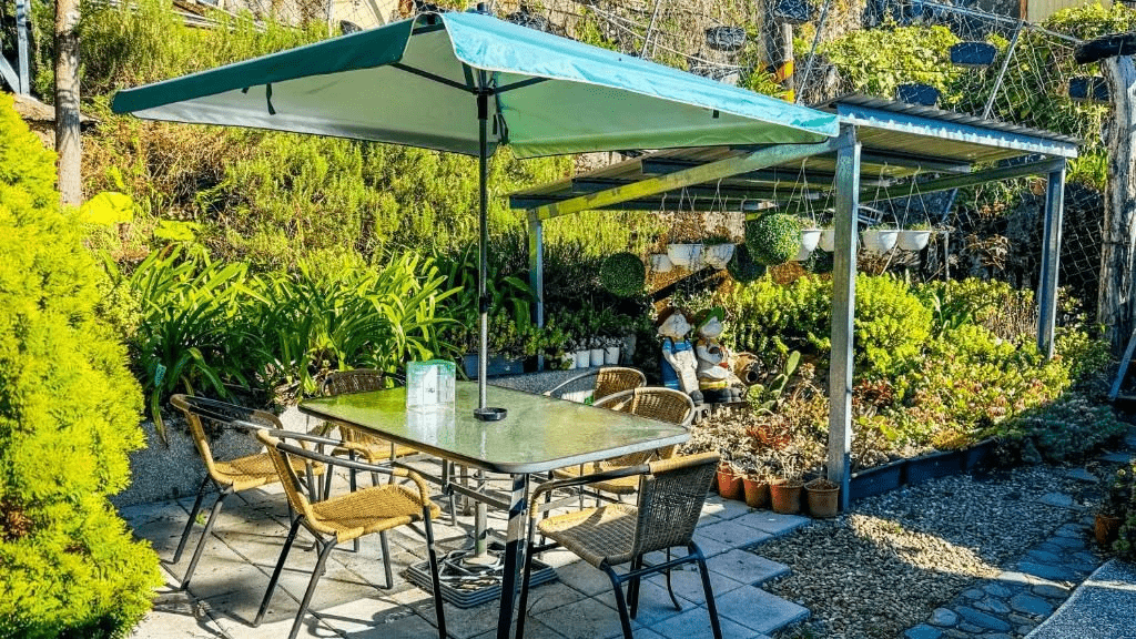 住在清境的高山夜色裡，清境31民宿讓星空、雲海與晨光自然流動