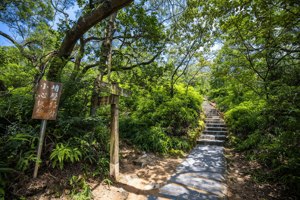 順著步道爬上軍艦岩，讓台北在腳下展開的一段登高時光
