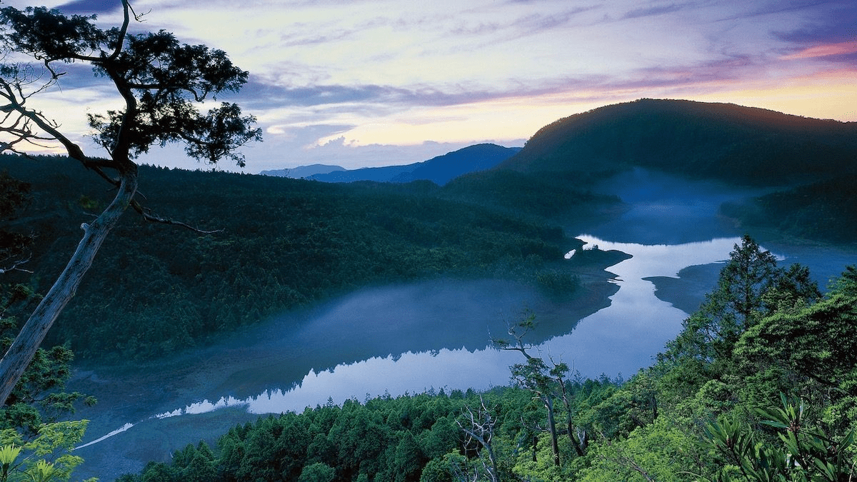 在清晨霧氣輕輕散開的時刻，沿著太平山森林步道緩緩前行，把一整天交給山湖與風的溫度
