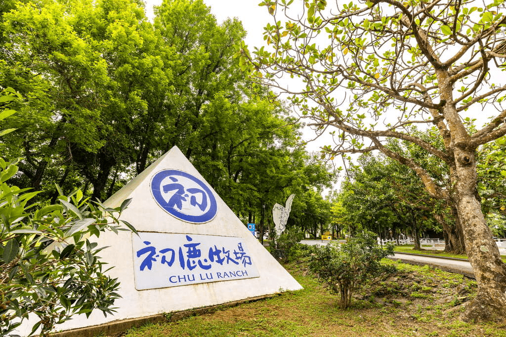 沿著縱谷走到台東初鹿牧場，在開闊草地裡，陪孩子走完一段安靜的親子時光