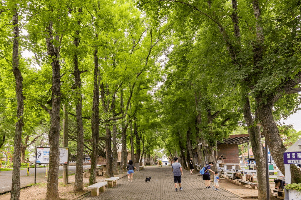 把一天留給台東初鹿牧場和孩子一起慢慢走，在草地與微風裡剛剛好