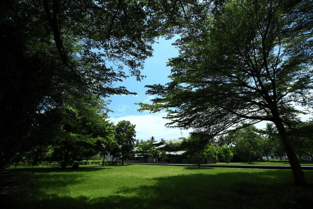 在台東市區走一段不趕的旅程，海濱公園、鐵道與舊城慢慢串起來