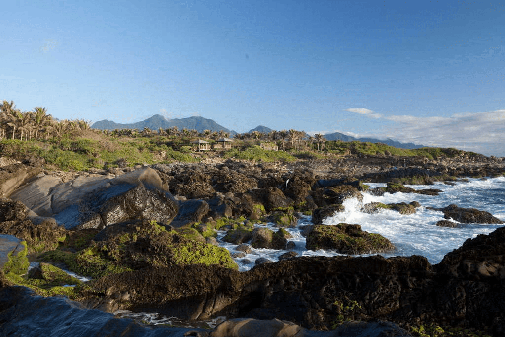 沿著海岸與森林走進台東自然景點，在湖光風影之間展開一段剛剛好的旅程