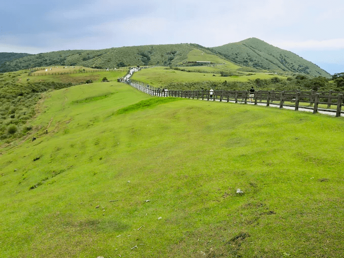 陽明山擎天崗大草原，草浪隨風起伏的壯麗景觀