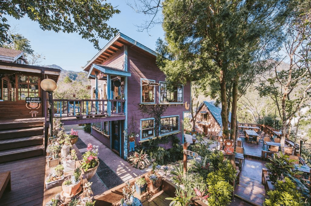 用一晚住進苗栗的寧靜,從橄欖樹到向草語蟲都值得一試