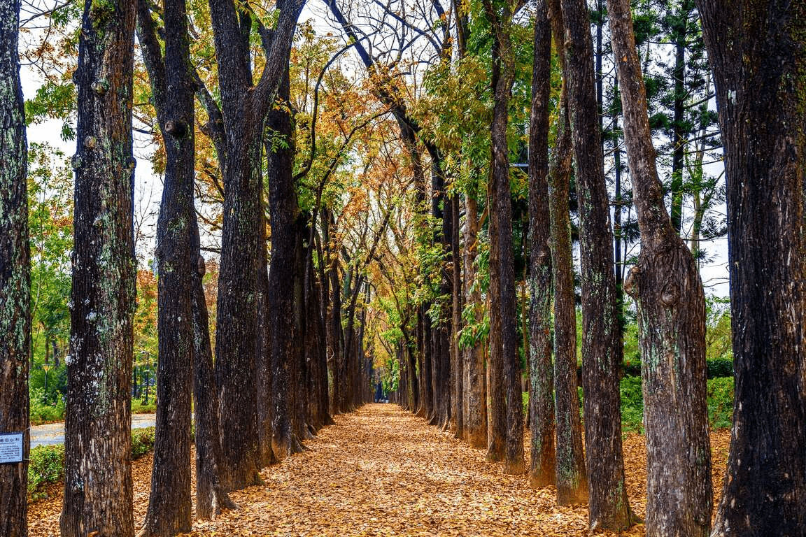隨著陽光落在山壁上的角度變化，在六龜景點裡體驗一整天不同的風景節奏