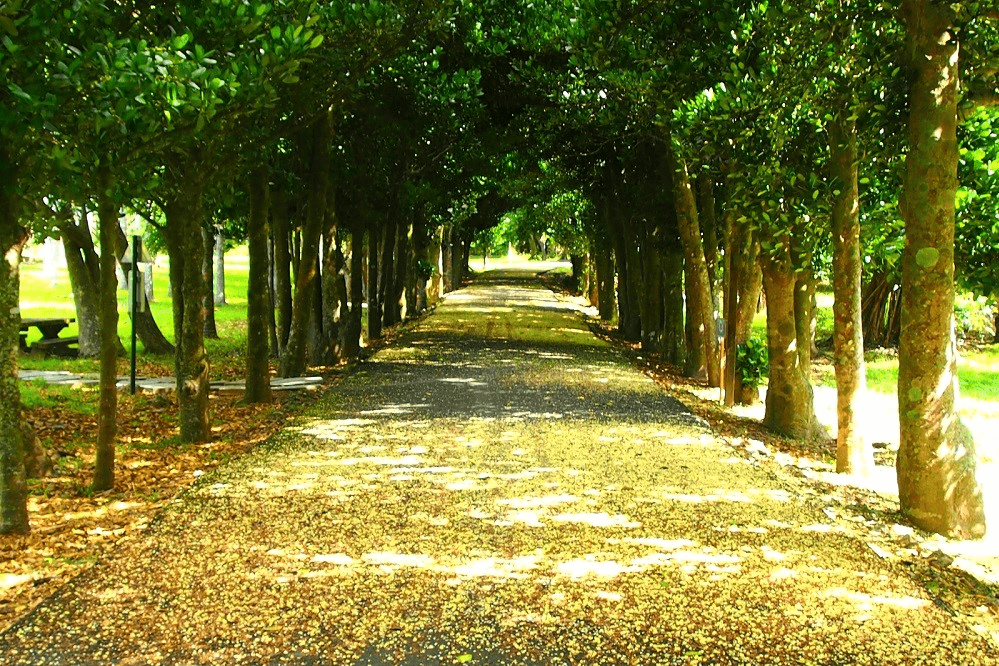 在墾丁國家森林遊樂區的高台望向海面，用一場森林與藍色交會的旅程安靜重啟自己
