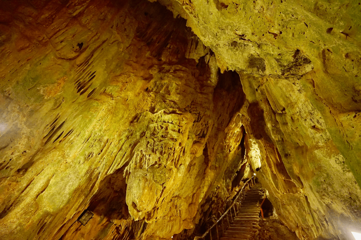 在墾丁國家森林遊樂區的高台望向海面，用一場森林與藍色交會的旅程安靜重啟自己