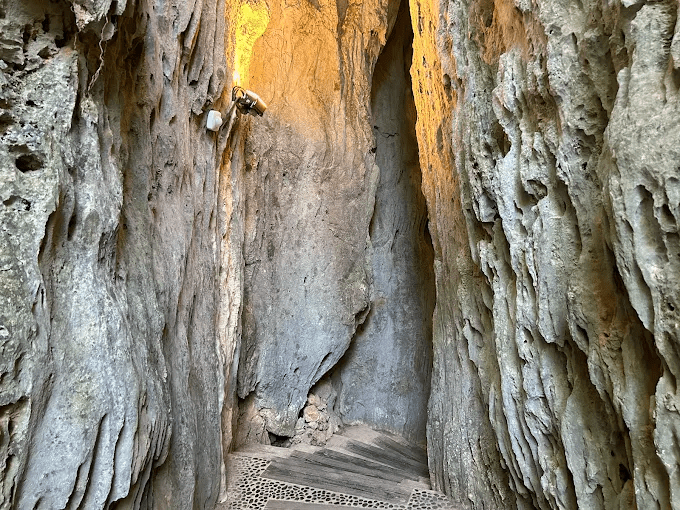 在墾丁國家森林遊樂區的高台望向海面，用一場森林與藍色交會的旅程安靜重啟自己