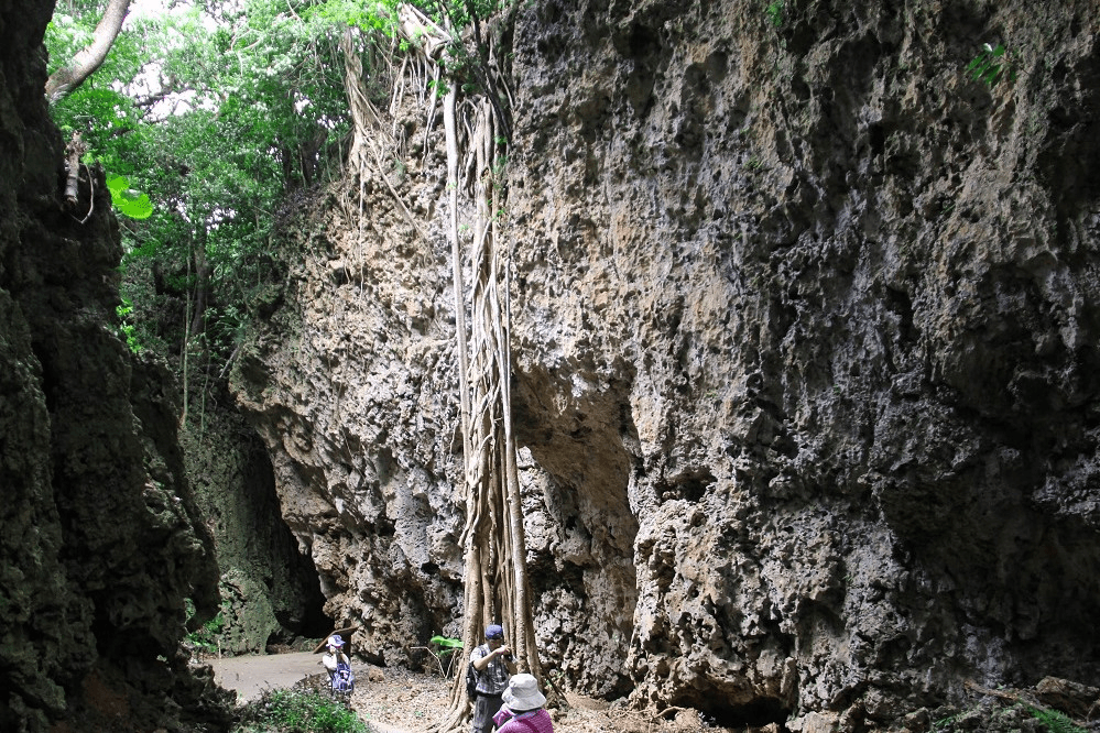 在墾丁國家森林遊樂區的高台望向海面，用一場森林與藍色交會的旅程安靜重啟自己