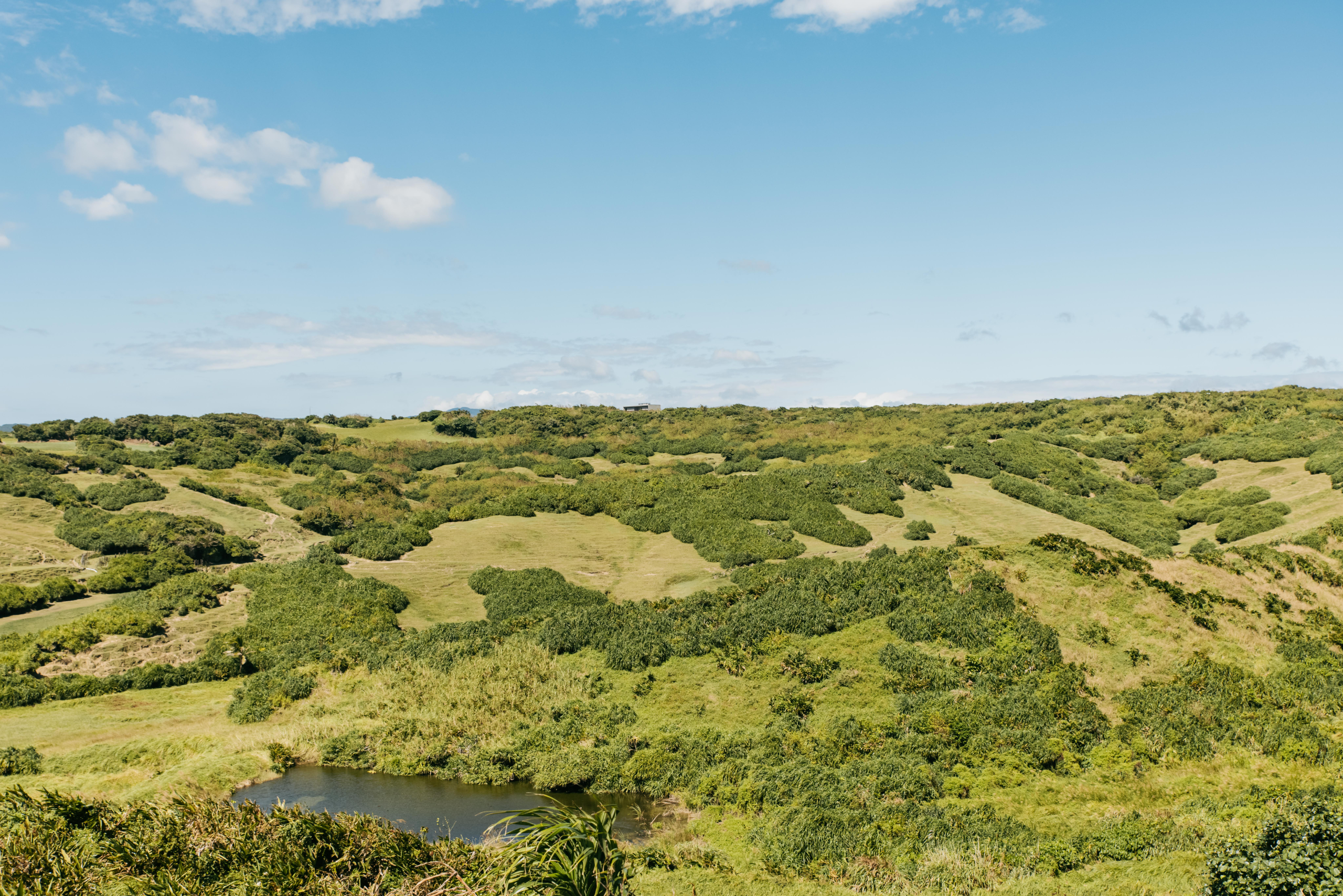在墾丁國家森林遊樂區的高台望向海面，用一場森林與藍色交會的旅程安靜重啟自己