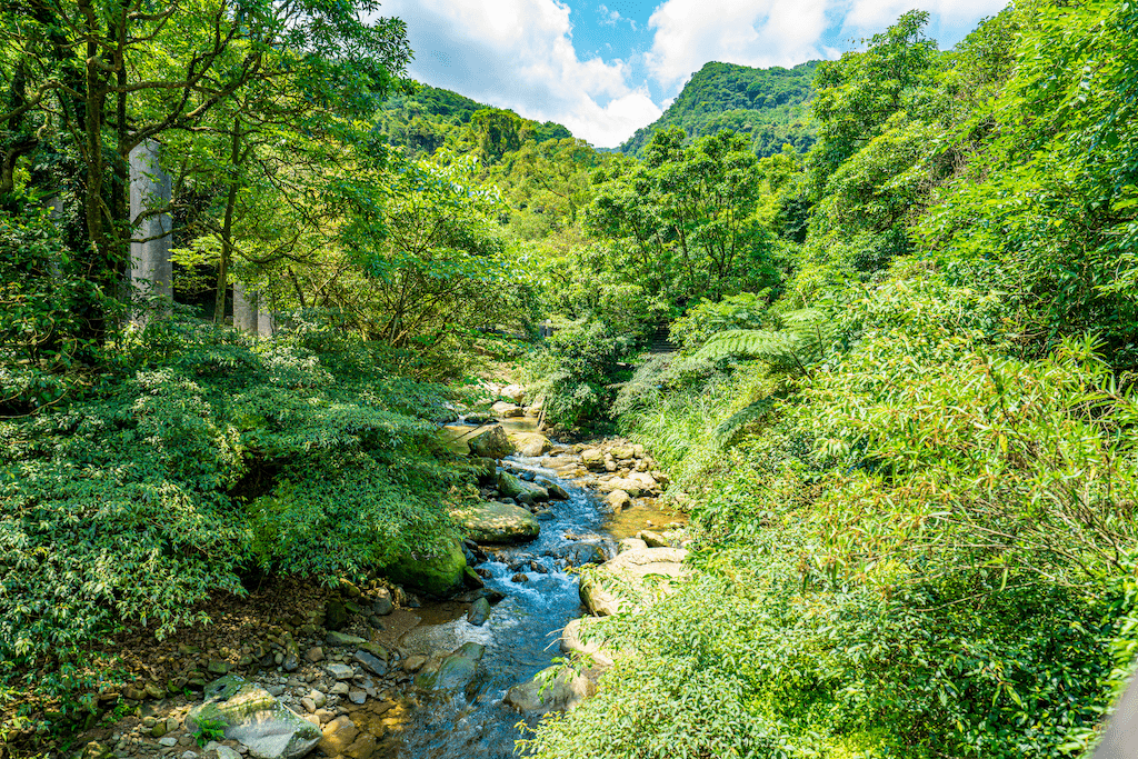 在暖暖沿著溪畔走向峽谷深處，讓水霧與微風陪你完成一場親水綠意的輕旅行