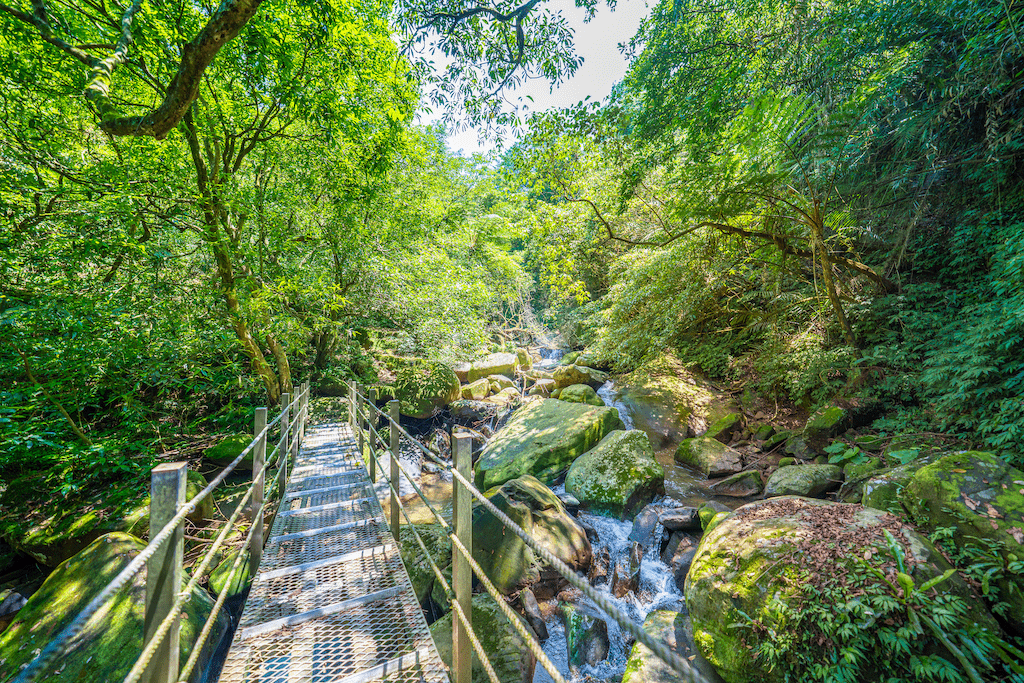 在暖暖沿著溪畔走向峽谷深處，讓水霧與微風陪你完成一場親水綠意的輕旅行