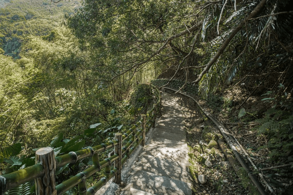 在桃園義興吊橋的午後陽光下緩緩前行，把山巒的層次與溪聲一起收進心裡