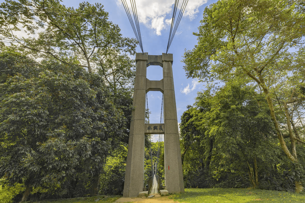 I在桃園義興吊橋的午後陽光下緩緩前行，把山巒的層次與溪聲一起收進心裡