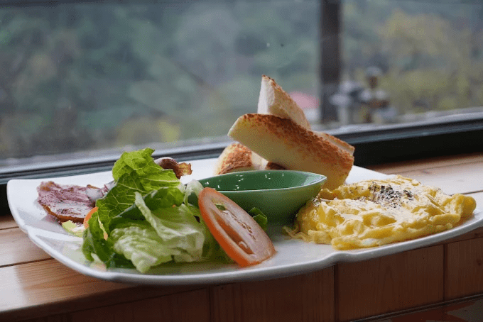 在桃園義興吊橋的午後陽光下緩緩前行，把山巒的層次與溪聲一起收進心裡