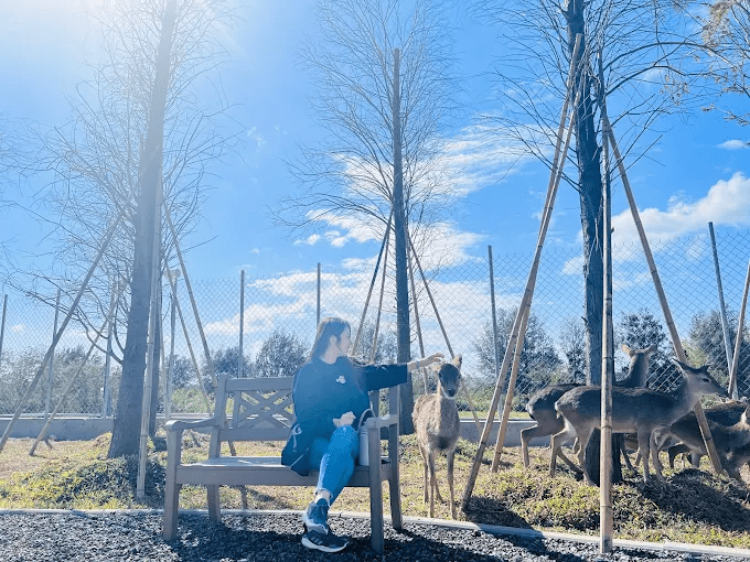 在鹿ㄦ島的水池邊伸手餵著水豚時,恆春的午後陽光也跟著溫暖了起來