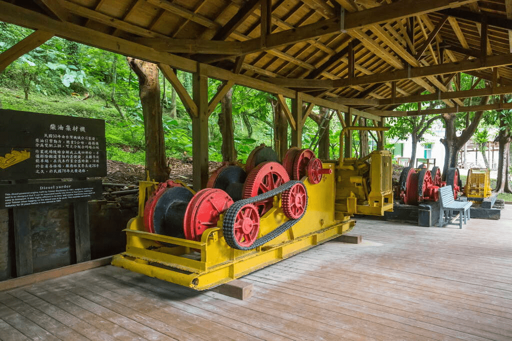 在花蓮池南國家森林遊樂區慢慢散步,看陽光穿過森林步道與遠方鯉魚潭的安靜水色