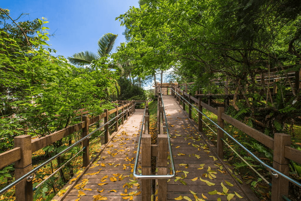 在花蓮池南國家森林遊樂區慢慢散步,看陽光穿過森林步道與遠方鯉魚潭的安靜水色